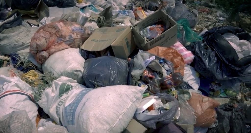 Soomaaliya oo mamnuucday bacaha si loo ilaaliyo deegaanka iyo noolaha