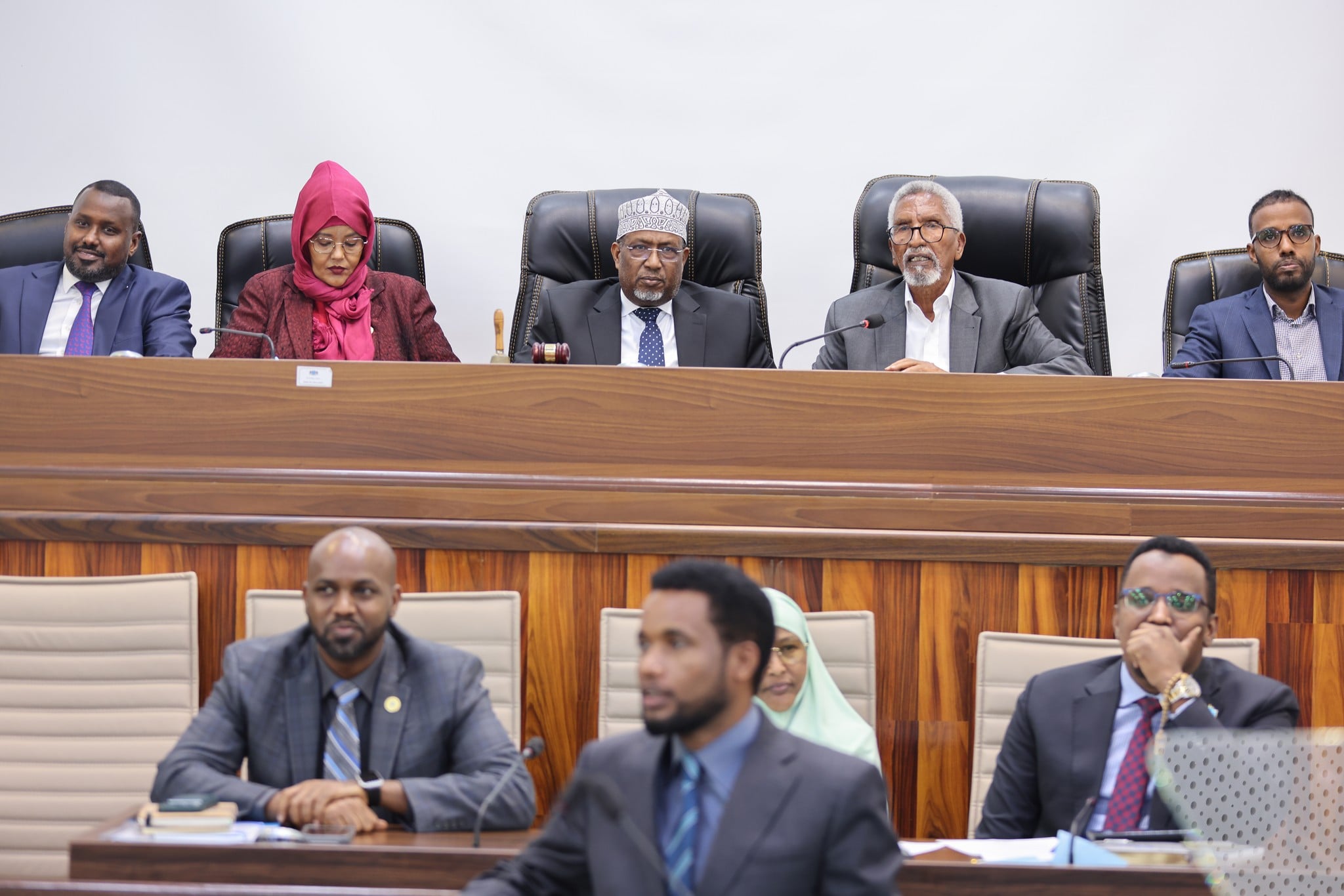 Hannaanka dhisidda iyo shaqada guddiga doorashooyiinka (warbixin)