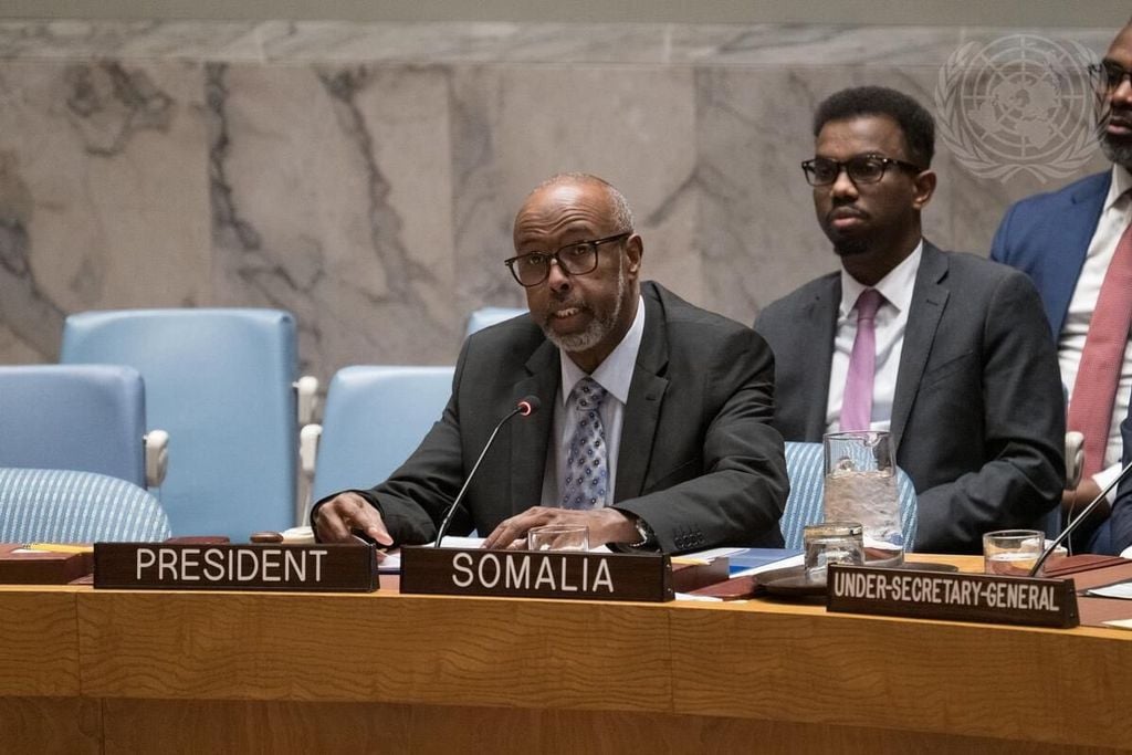 Hoggaanka Soomaaliya ee Golaha Ammaanka iyo maareynta xasaradaha kacsan ee dunida