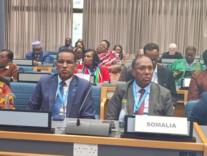 Soomaaliya oo Ku Guuleysatay Xubinimada Golaha Fulinta ee UN-Habitat