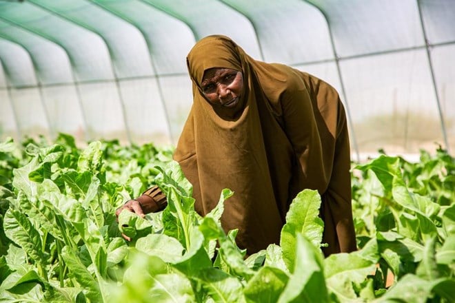 Soomaaliya oo bilaawday ruqsad-siinta hay’adaha Amaahda bixiya