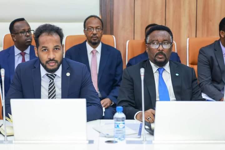 Maxay Hay'adda Amniga Saaybar-ka kusoo kordhineysa Soomaaliya?