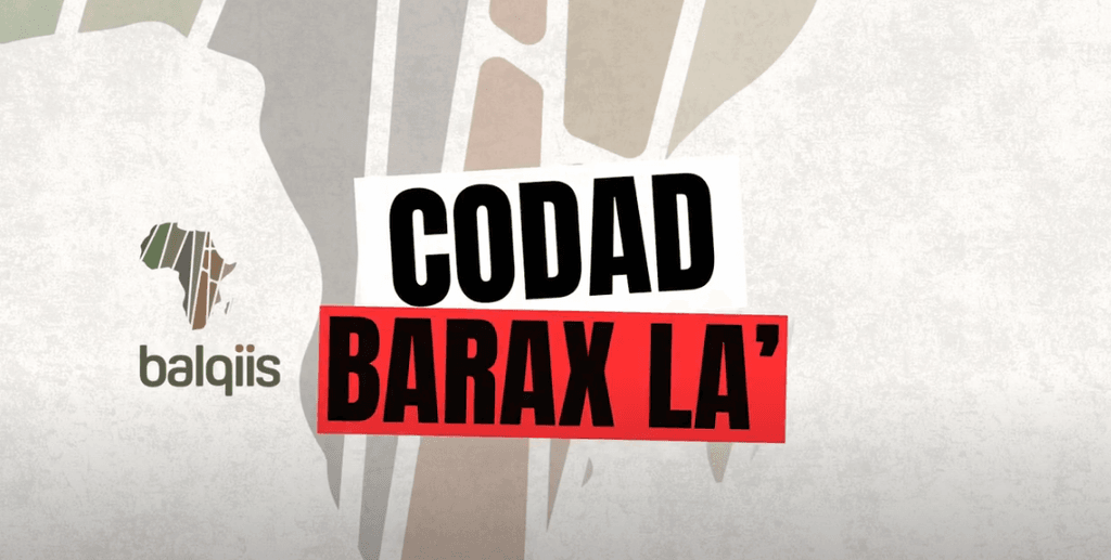 Aragtida bulshada ee ciidamada nabad ilaalinta Midowga Africa