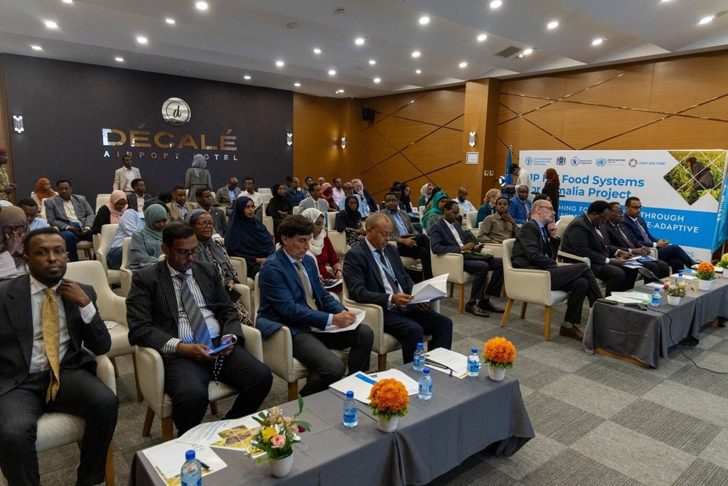 Daahfurka Mashruuca Cunto ee Soomaaliya si Looga Hortago Gaajada