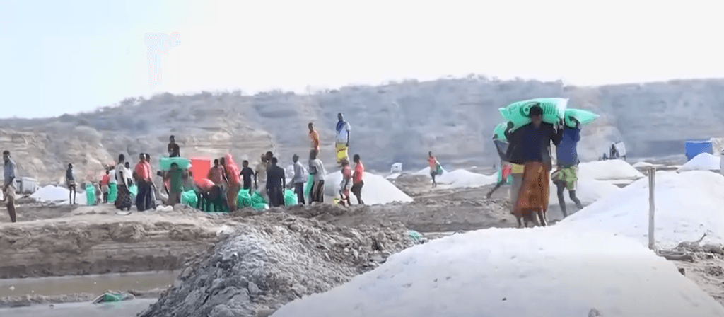 20 sano oo horumar ah: Iskaashatada Af-Dheer ee soo saarka Milixda 