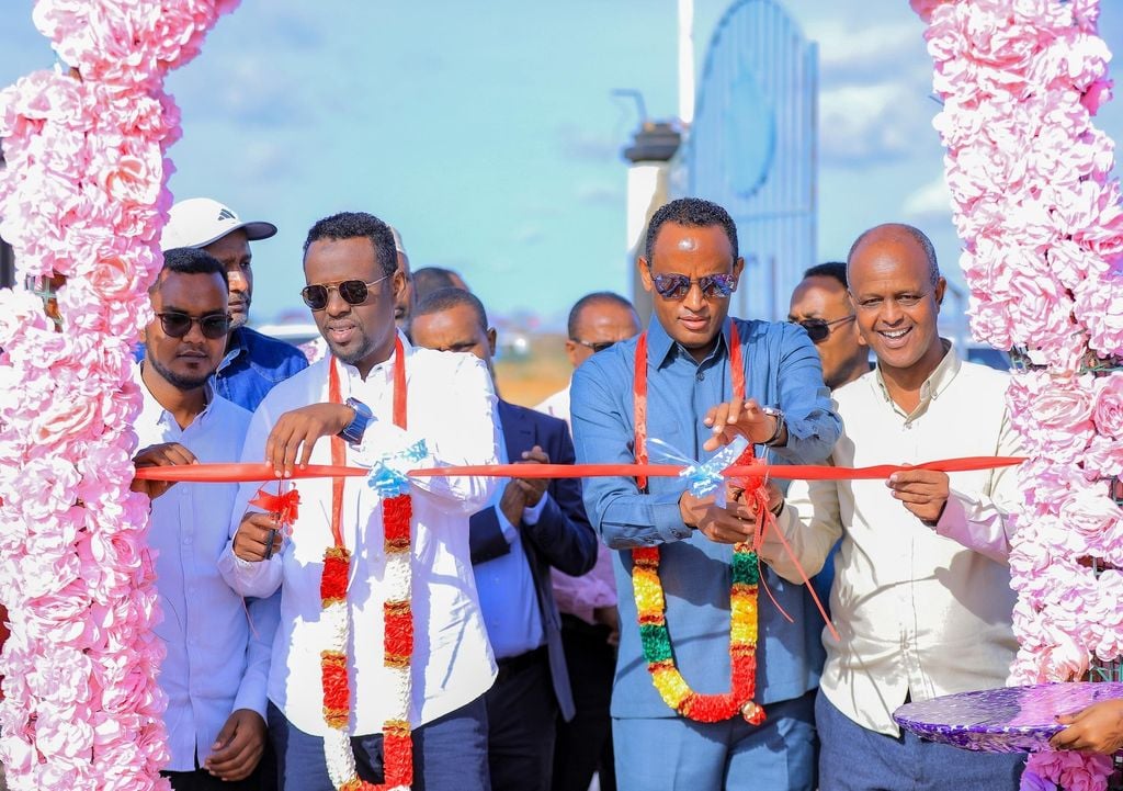 DDS oo dib u dejin u sameeyey xoolo-dhaqatada Godeey.