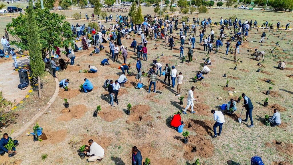 Deegaanka Soomaalida oo Hal Maalin Ku Beeray 2.67 Milyan oo Geed