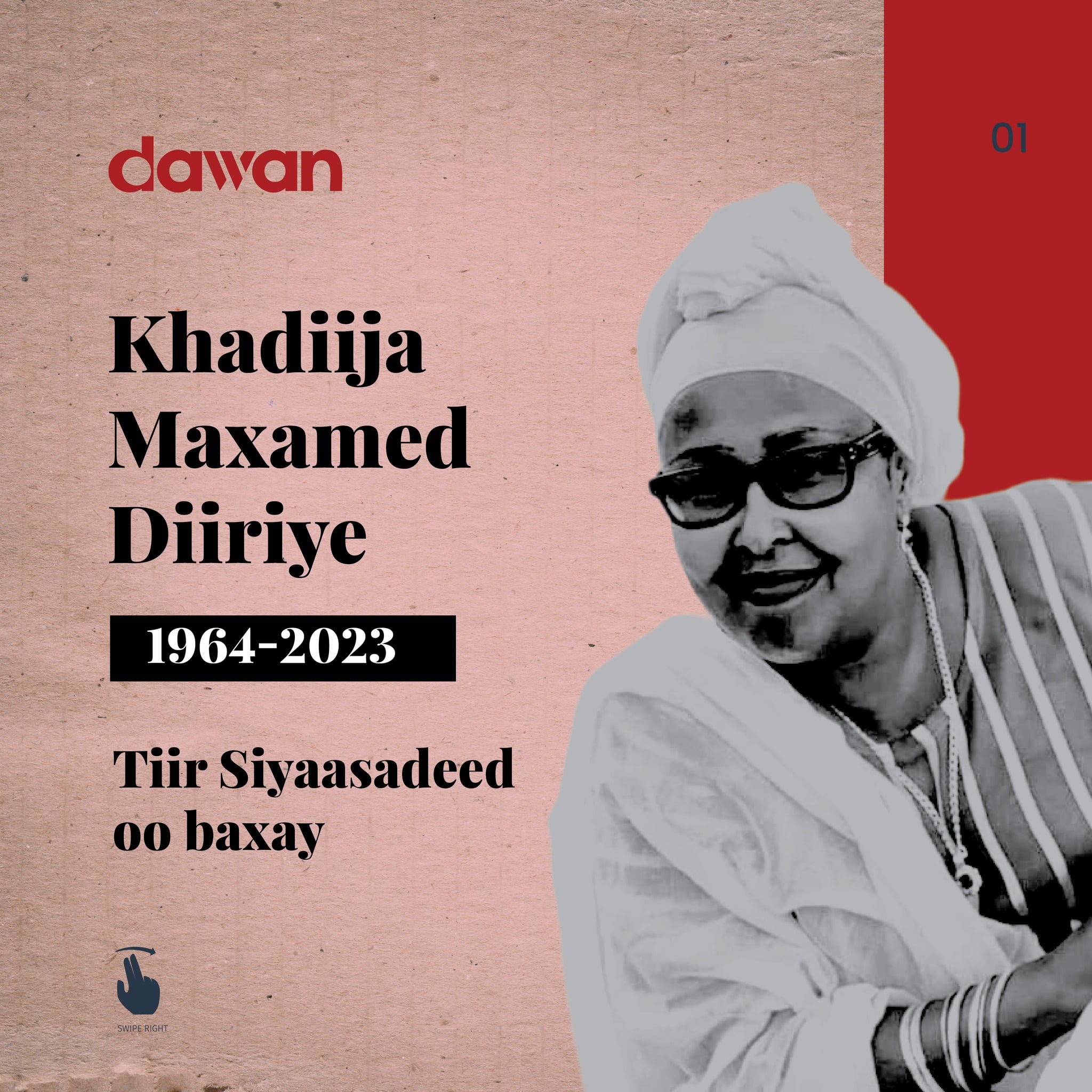 Khadiijo Maxamed  Diiriye: Tiir siyaasadeed oo baxay