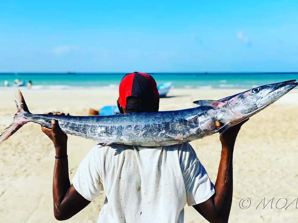 Puntland oo sheegtay inay bilowday olole ka dhan ah kalluumeysiga sharci-darrada ah